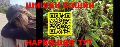 прущие грибы Будённовск
