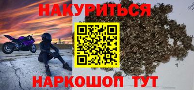 прущие грибы Будённовск