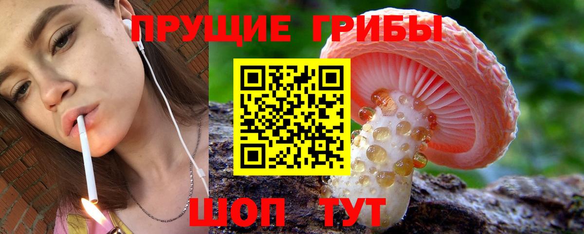 Галлюциногенные грибы MAGIC MUSHROOMS  Вход с VPN  Югорск 